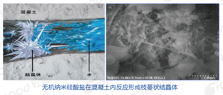 20240826258621.png 20231027800477.png