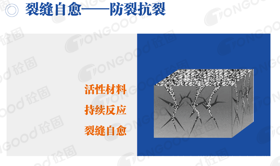 20240826431866.png 20231027159568.png