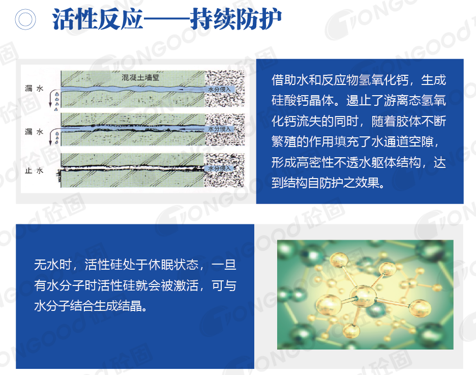 20240826803919.png 20231027537316.png