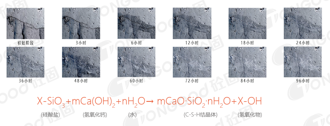 20240826990591.png 20231027855625.png